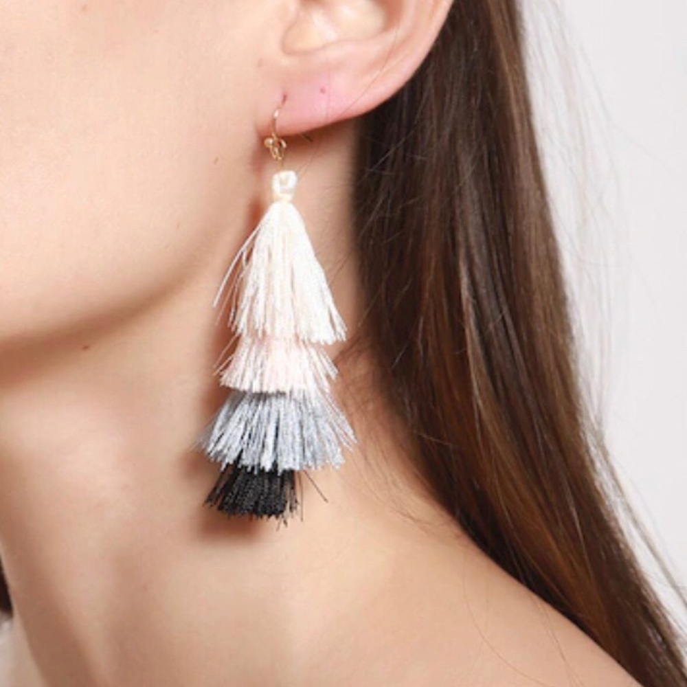Color Block Tassel Drop Earrings